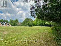Beautiful 33 acres -