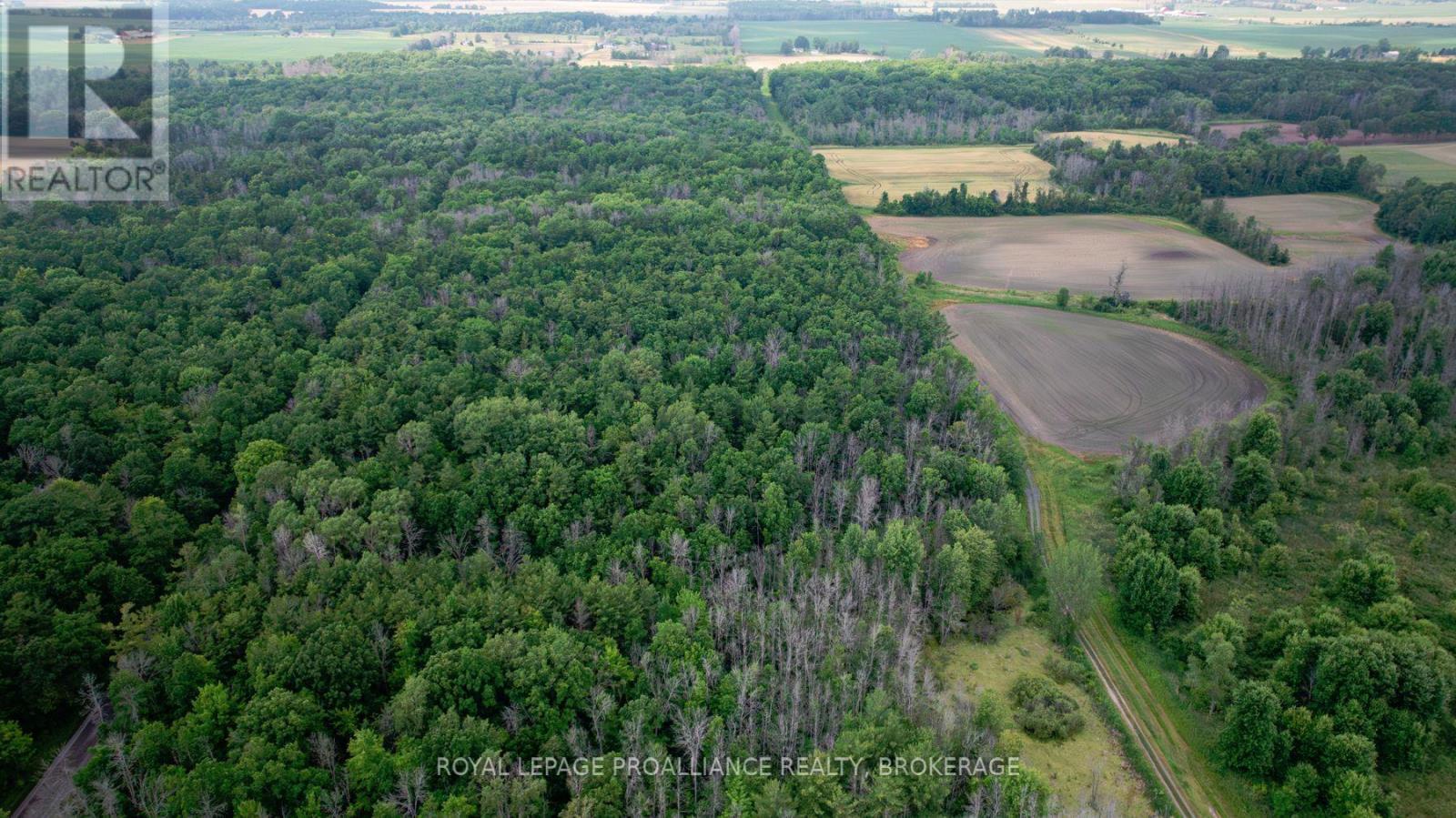 Lot C Townline Road, Loyalist (Lennox And Addington - South), ON