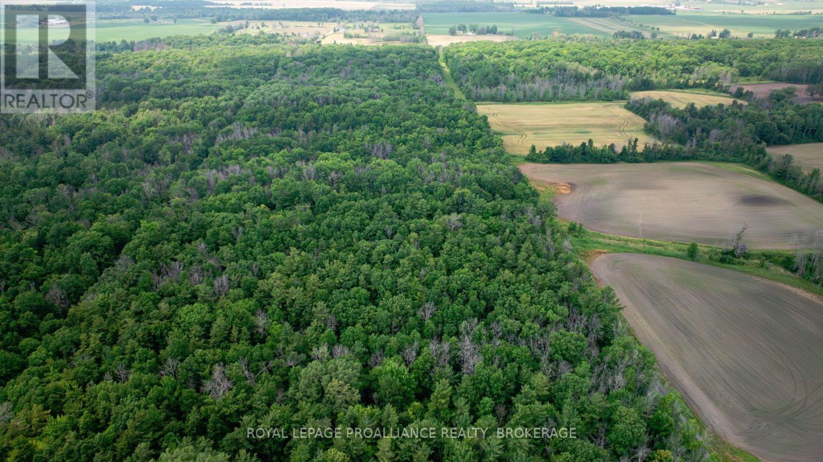 Lot C Townline Road, Loyalist (Lennox And Addington - South), ON