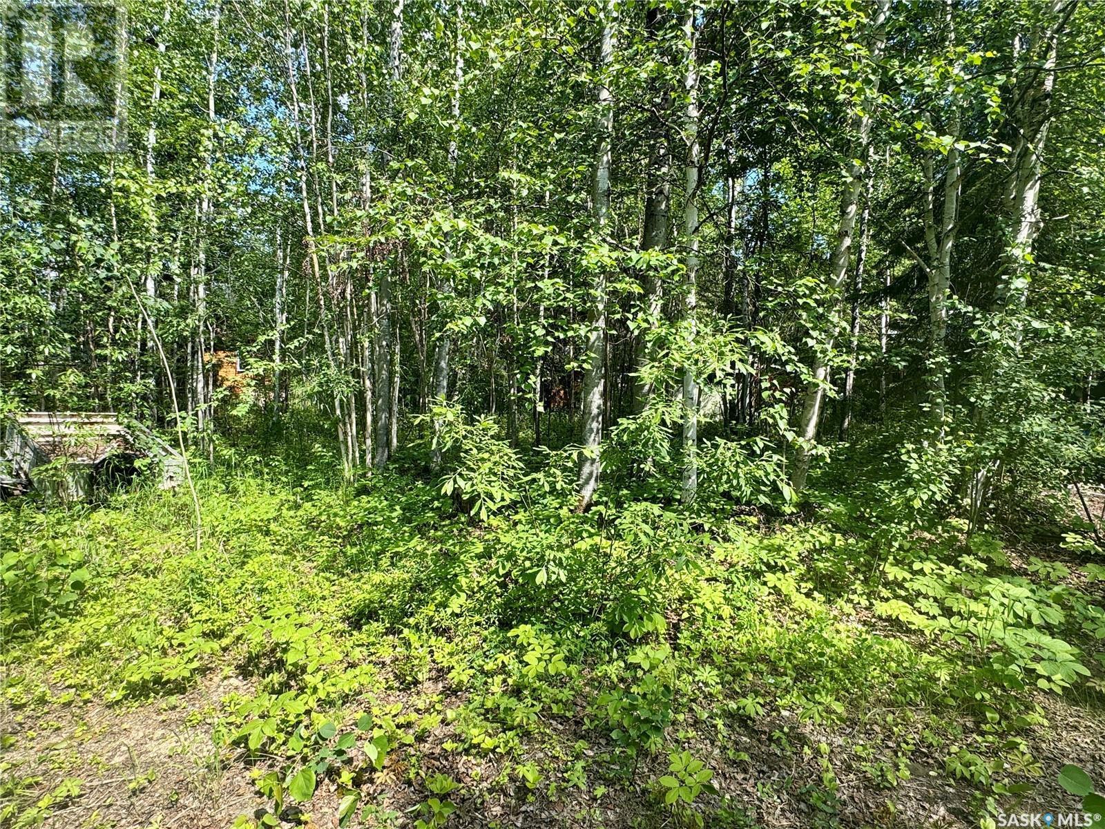 206 Spruce Street, Northern Admin District, SK - Outdoor