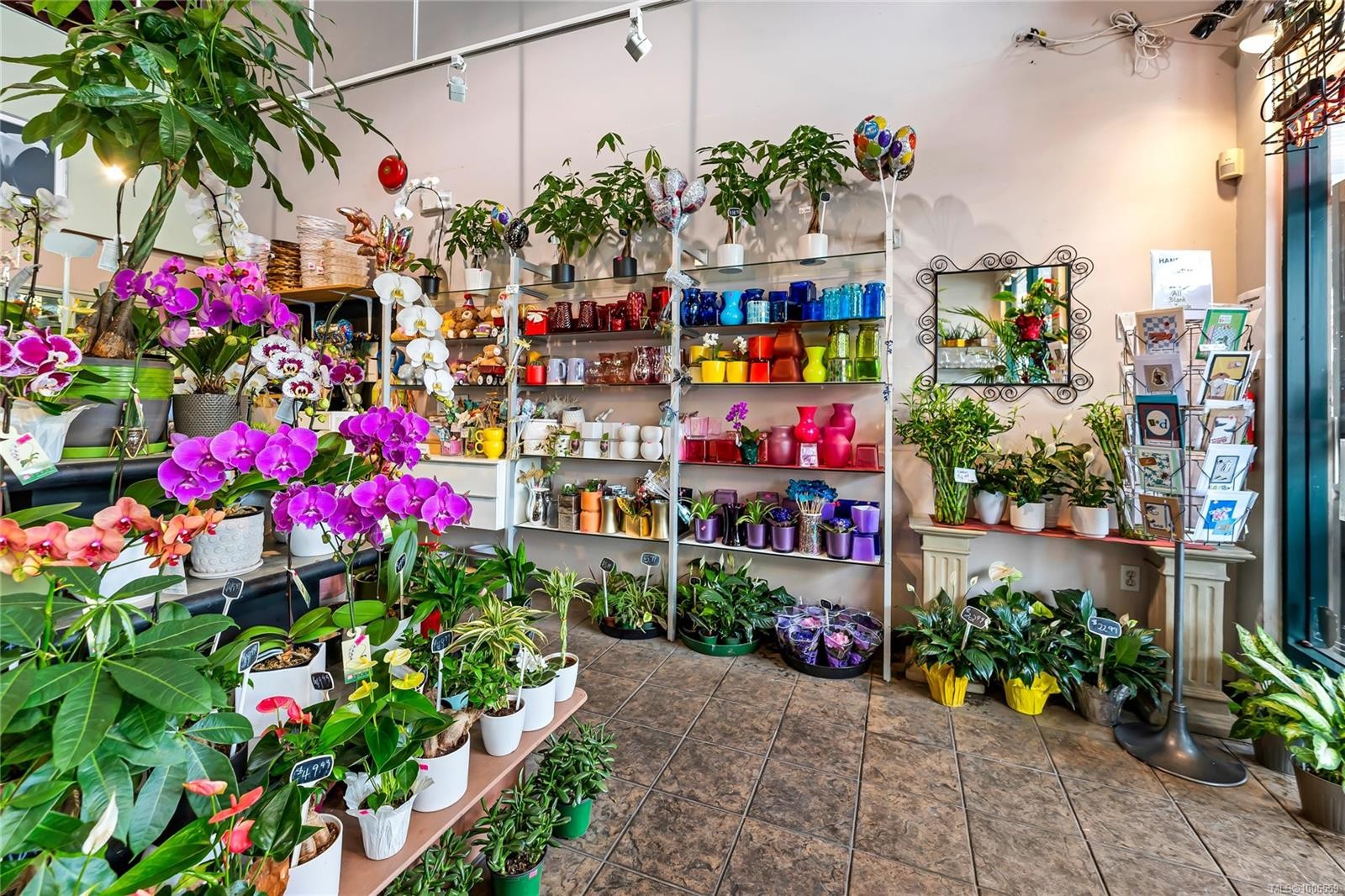 107-4430 West Saanich Rd, Saanich, BC