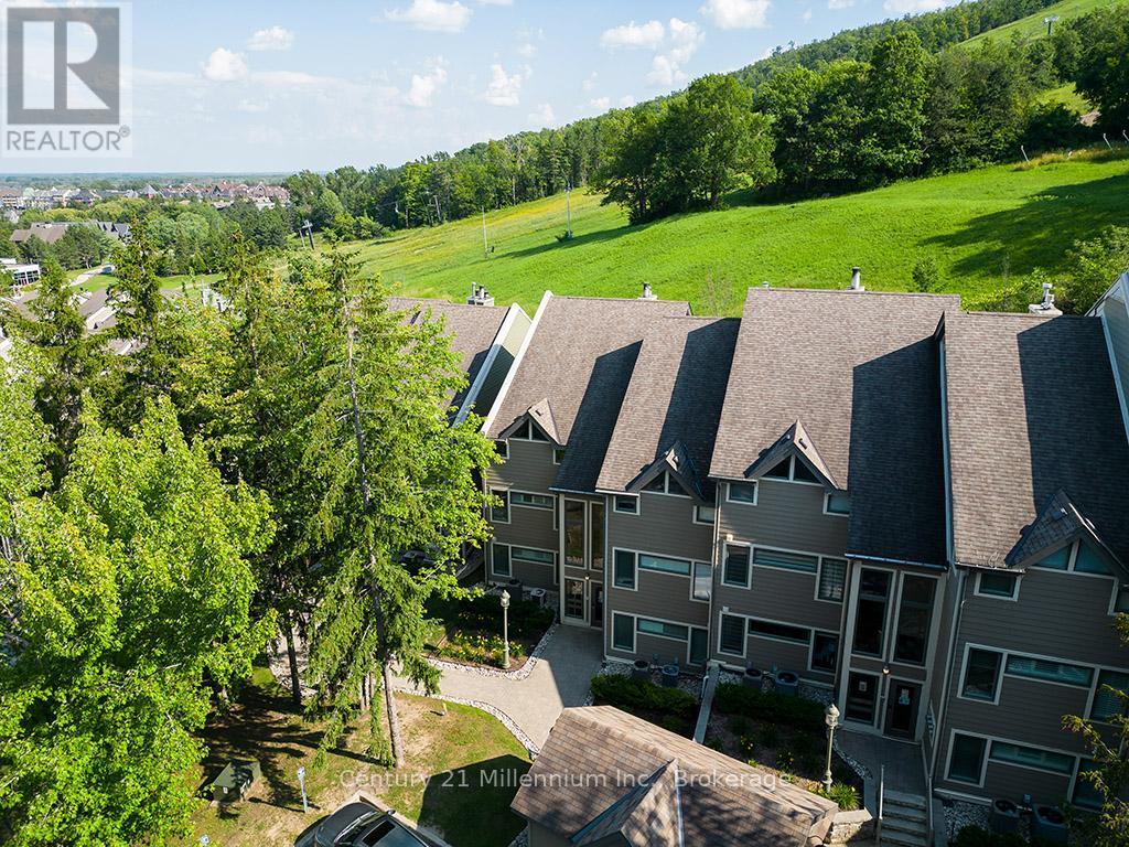 121 - 796404 Grey Road 19, Blue Mountains, ON - Outdoor