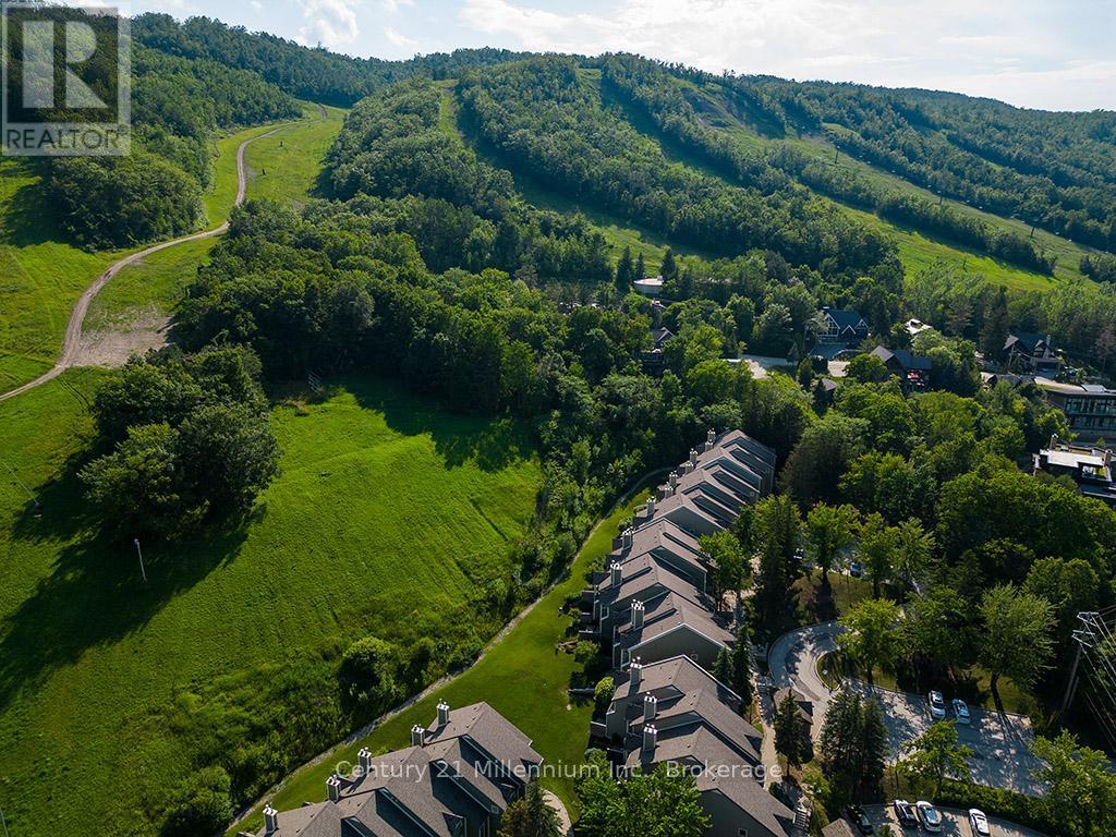 121 - 796404 Grey Road 19, Blue Mountains, ON - Outdoor With View