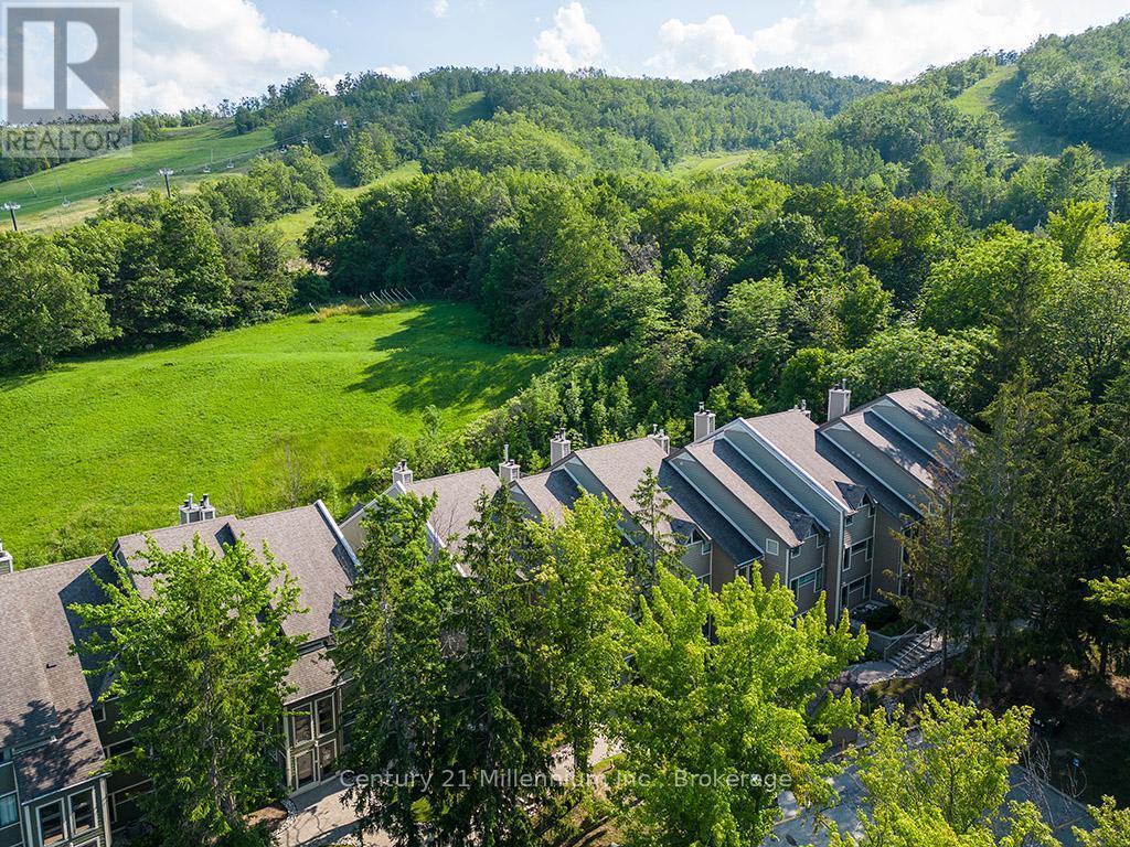 121 - 796404 Grey Road 19, Blue Mountains, ON - Outdoor With View