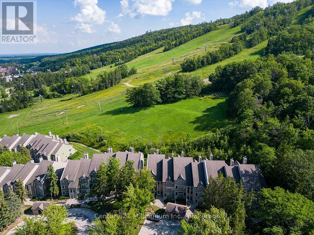 121 - 796404 Grey Road 19, Blue Mountains, ON - Outdoor With View