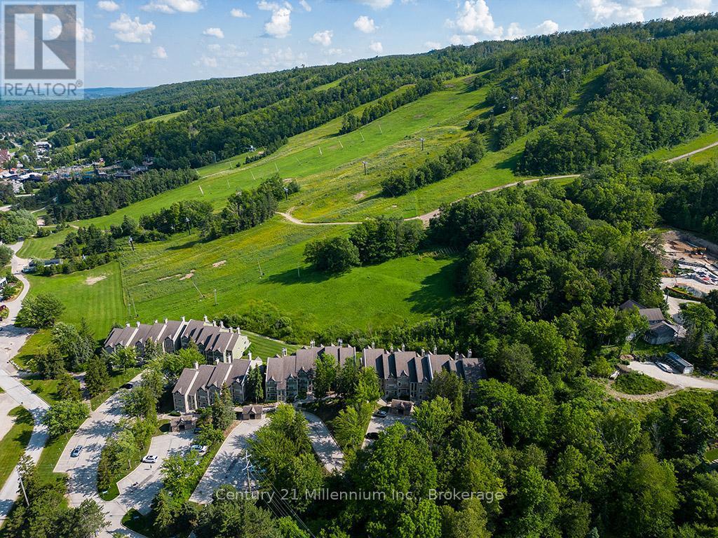 121 - 796404 Grey Road 19, Blue Mountains, ON - Outdoor With View