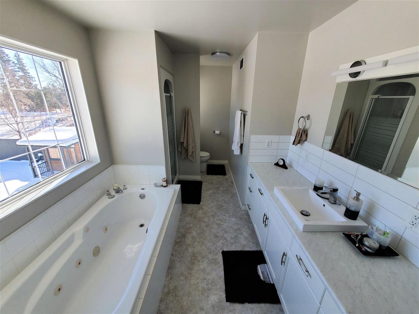 100 Queen Street, Barwick, ON - Indoor Photo Showing Bathroom