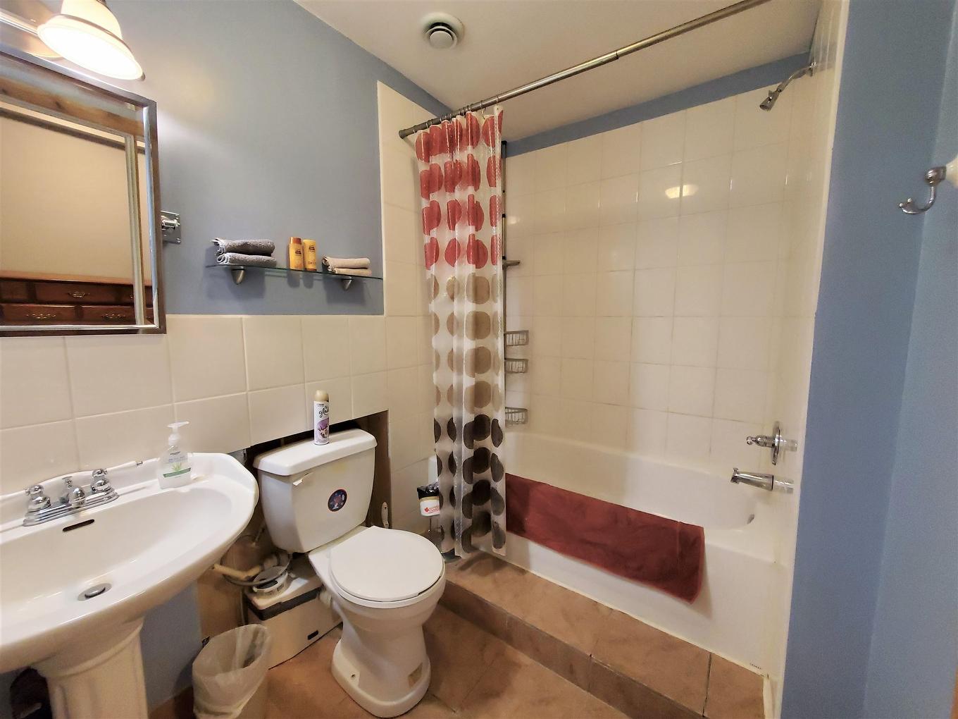 100 Queen Street, Barwick, ON - Indoor Photo Showing Bathroom