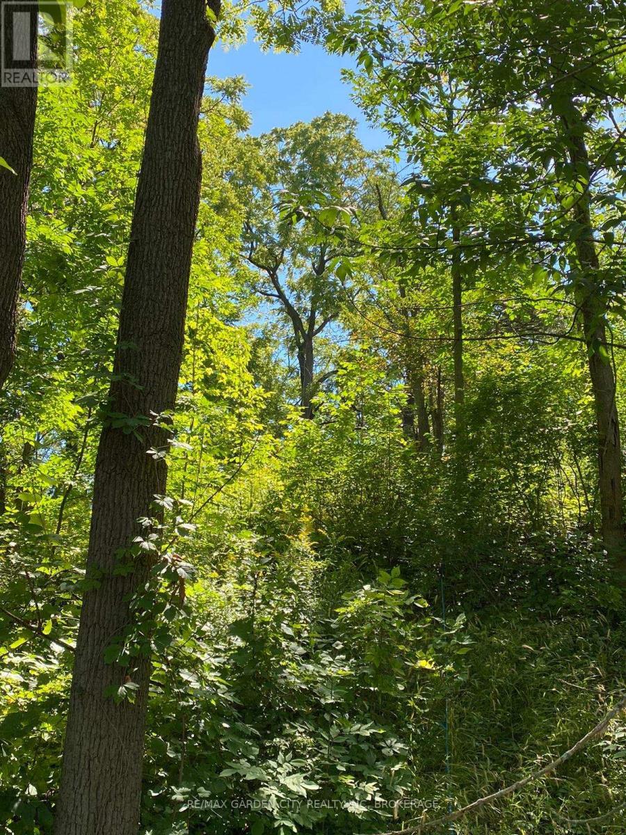 Pt Lt 3 Effingham Street, Pelham (North Pelham), ON