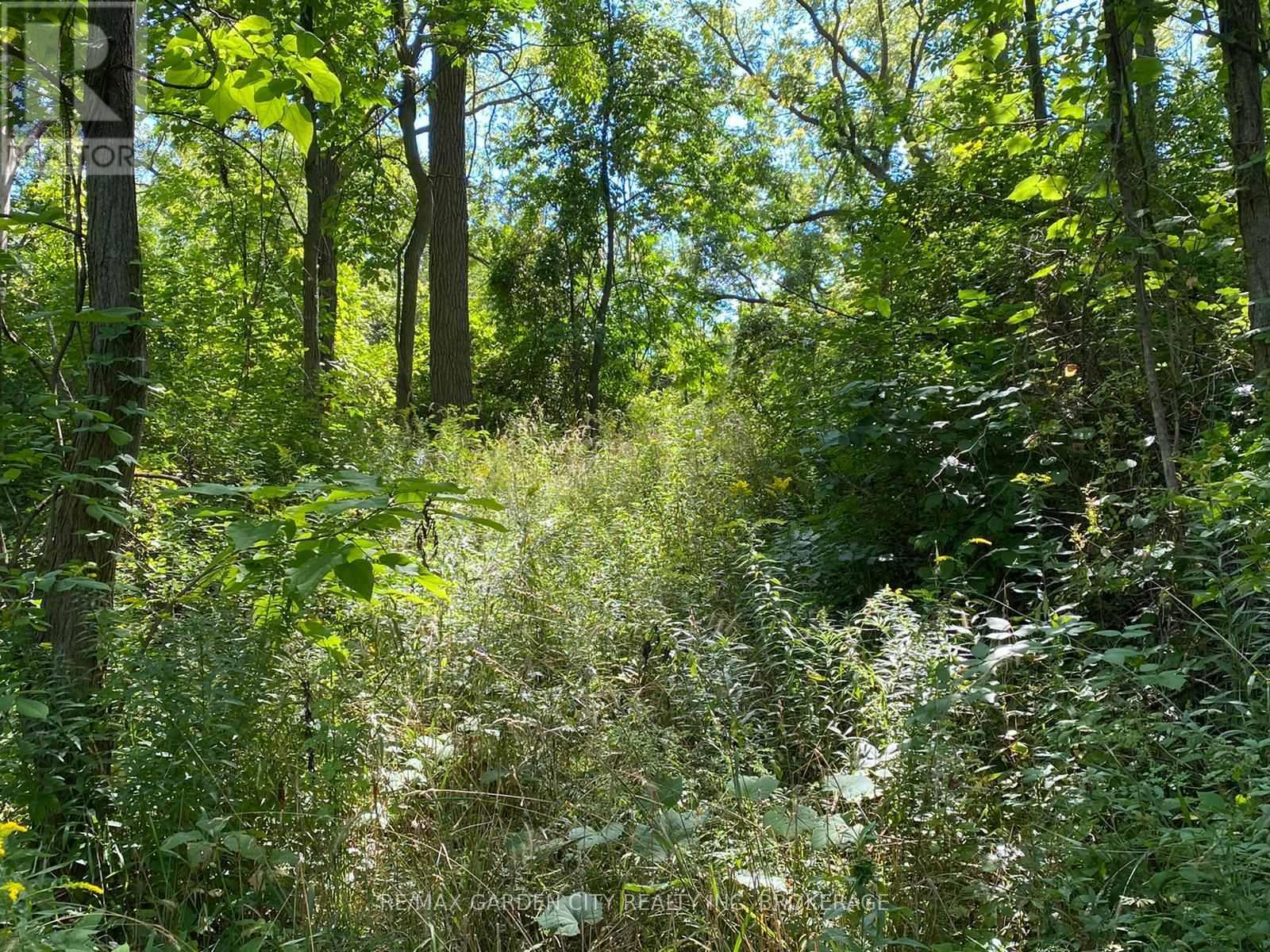 Pt Lt 3 Effingham Street, Pelham (North Pelham), ON