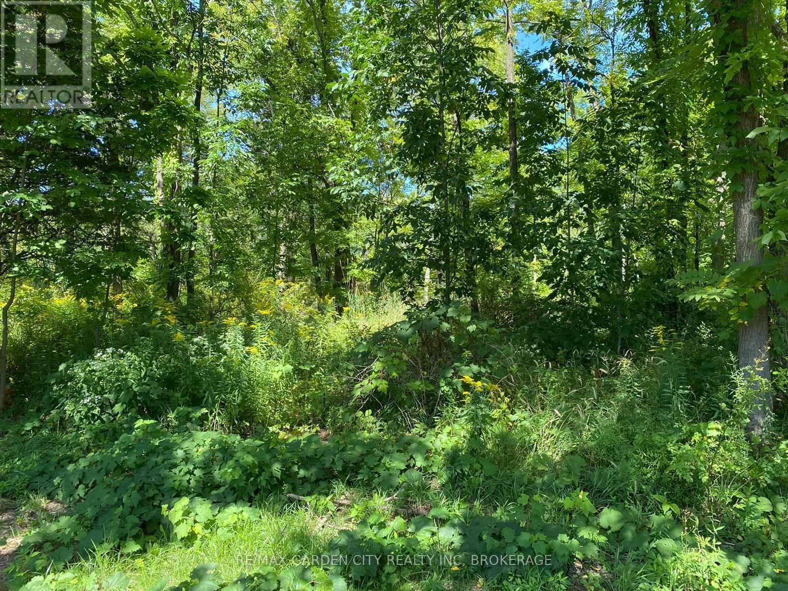 Pt Lt 3 Effingham Street, Pelham (North Pelham), ON