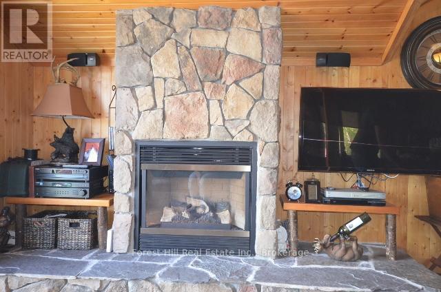 Boathouse suite - 10365 Rabbit, Temagami, ON - Indoor Photo Showing Living Room With Fireplace