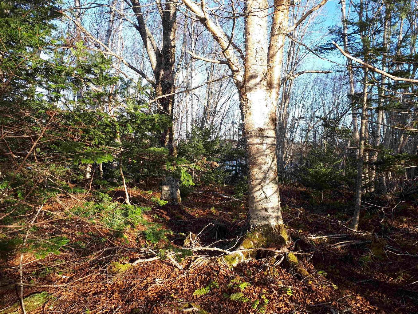 Lot 18 Torus Dr, Macnabs Cove, NS