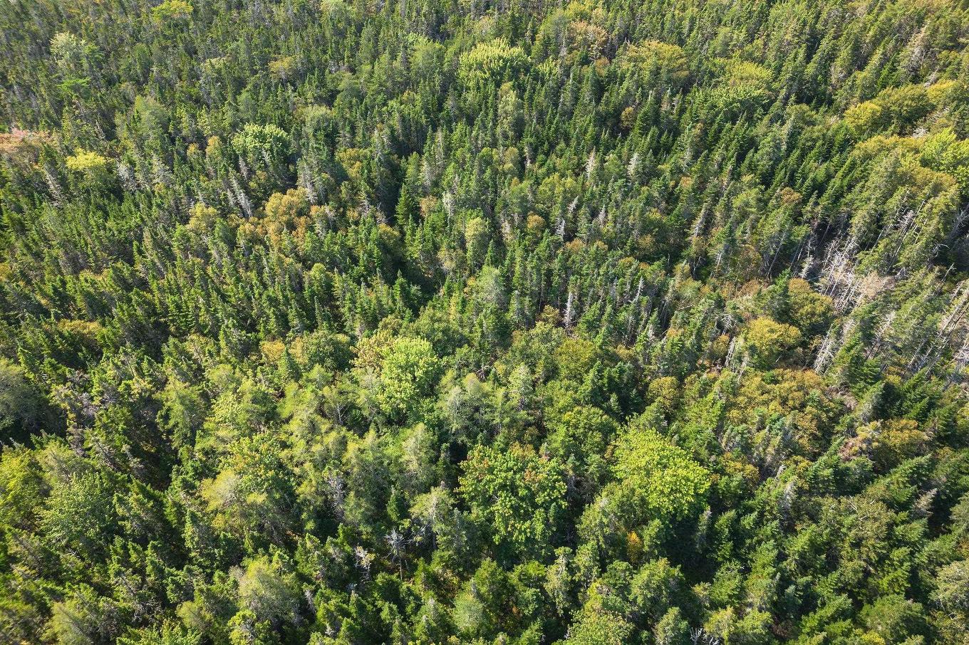 Lot 76 Peter Sosna Dr., Hay Cove, NS