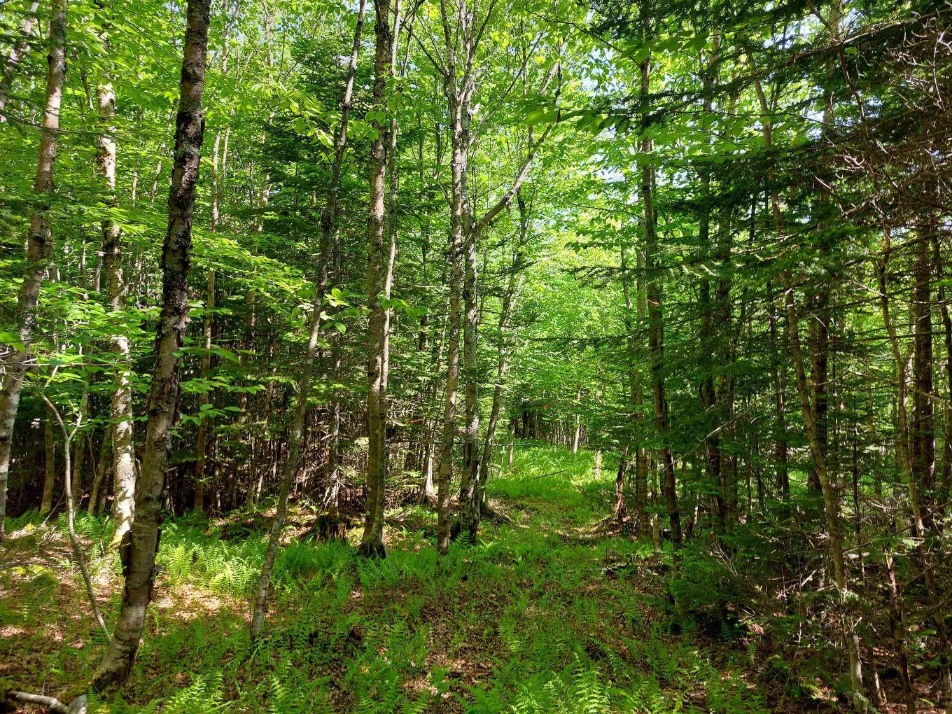Lot 76 Peter Sosna Dr., Hay Cove, NS