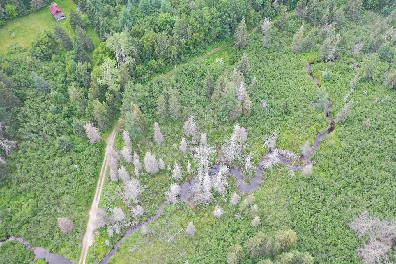 Rear Estmere Road, Estmere, NS