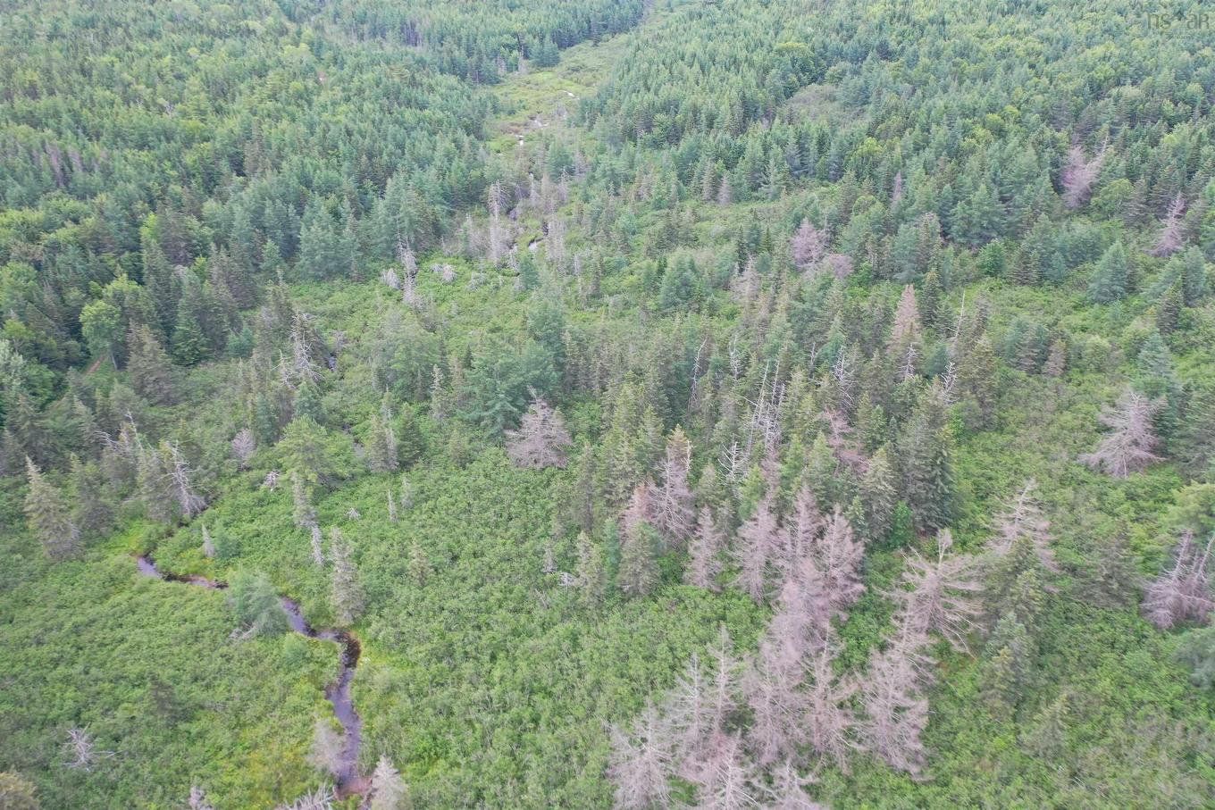 Rear Estmere Road, Estmere, NS