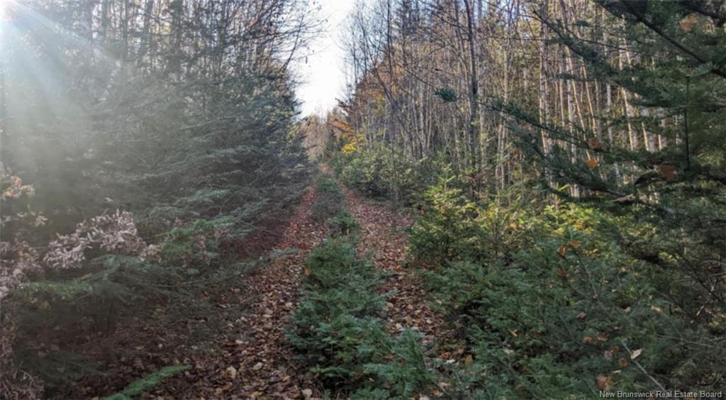 - Old Great Rd, Hopewell Cape, NB
