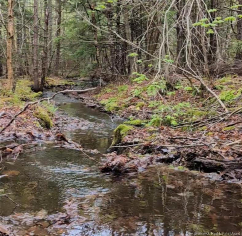 - Old Great Rd, Hopewell Cape, NB