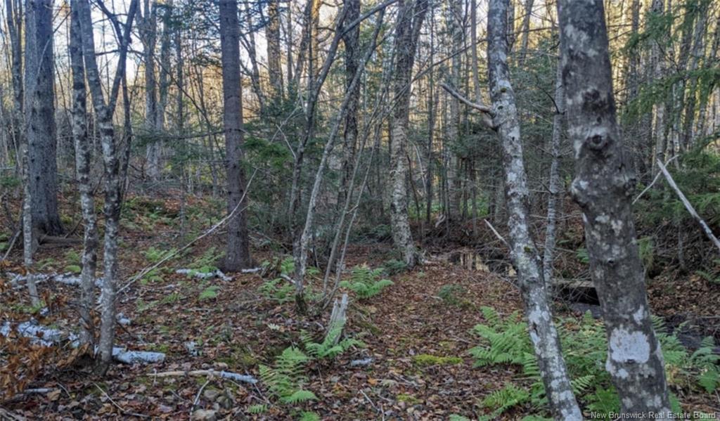 - Old Great Rd, Hopewell Cape, NB