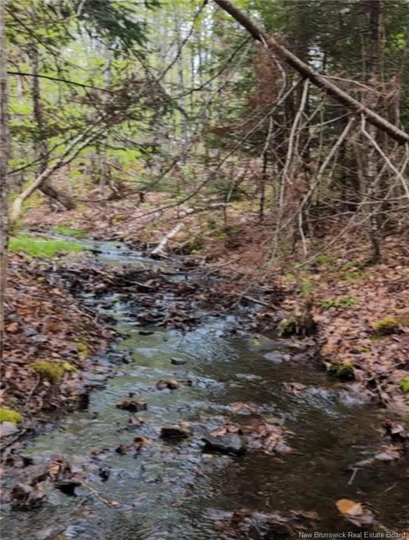 - Old Great Rd, Hopewell Cape, NB