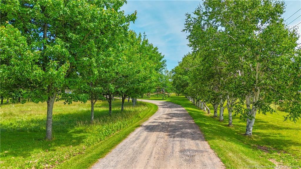 703 113 Rte, Inkerman, NB