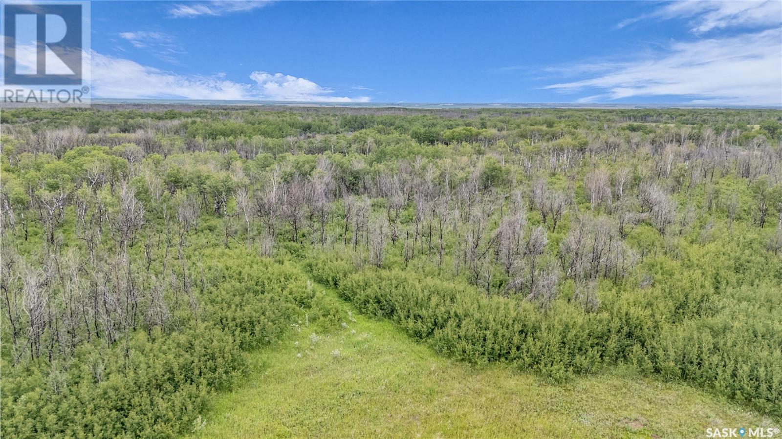 Main Acreage, Biggar Rm No. 347, SK - Outdoor With View