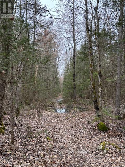 Unopened Road Allowance to access the property - Con 1 Lot 12, Parry Sound Remote Area (Lount), ON