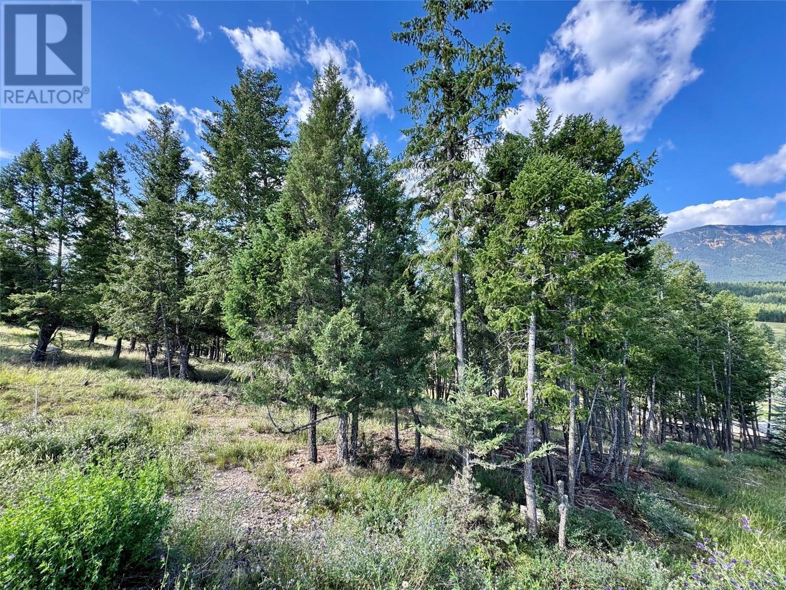 2522 Ledgerock Ridge, Invermere, BC