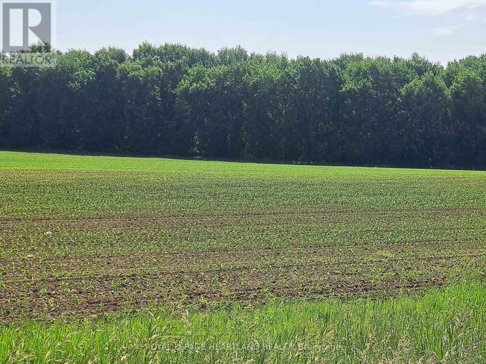 74018 Babylon Line, Bluewater (Zurich), ON