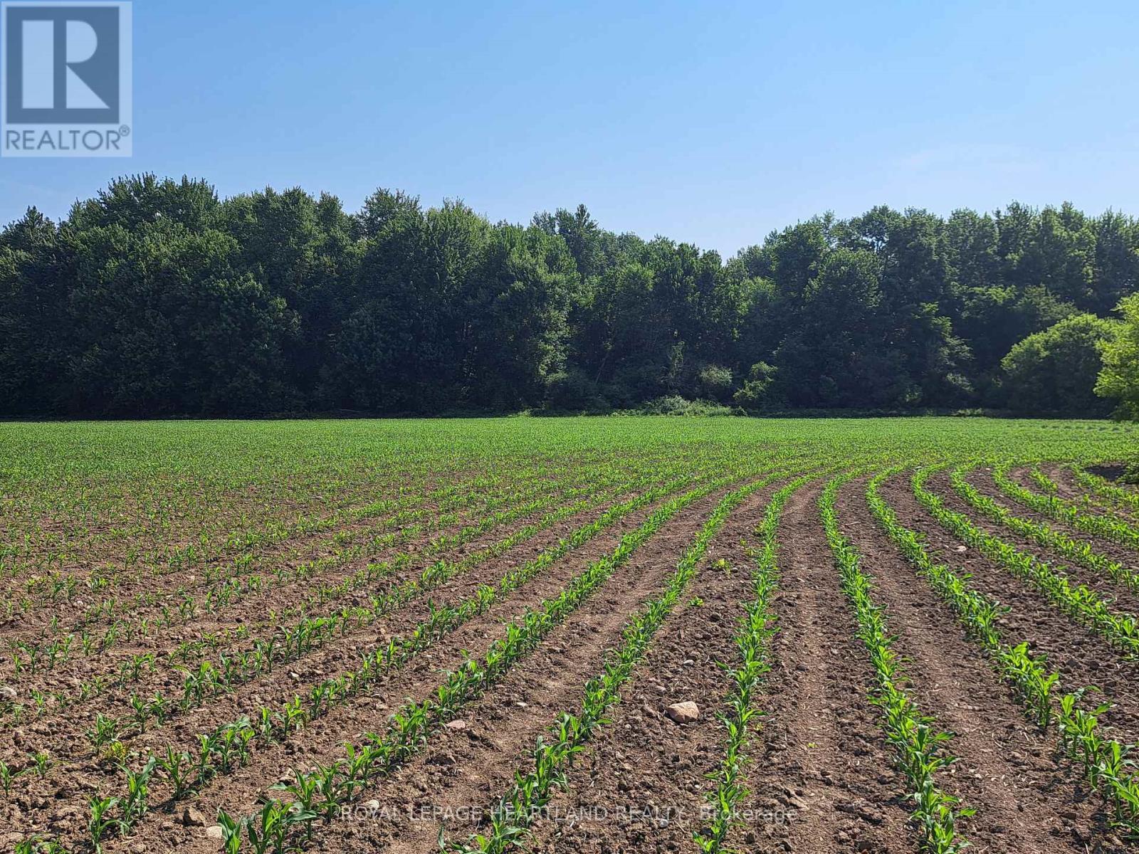 74018 Babylon Line, Bluewater (Zurich), ON