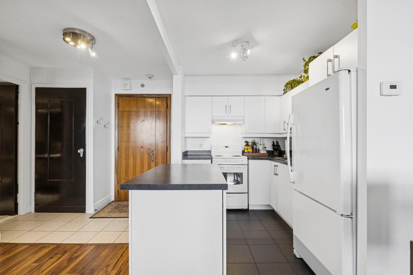 Kitchen - 1603-3535 Av. Papineau, Montréal (Le Plateau-Mont-Royal), QC - Indoor Photo Showing Kitchen