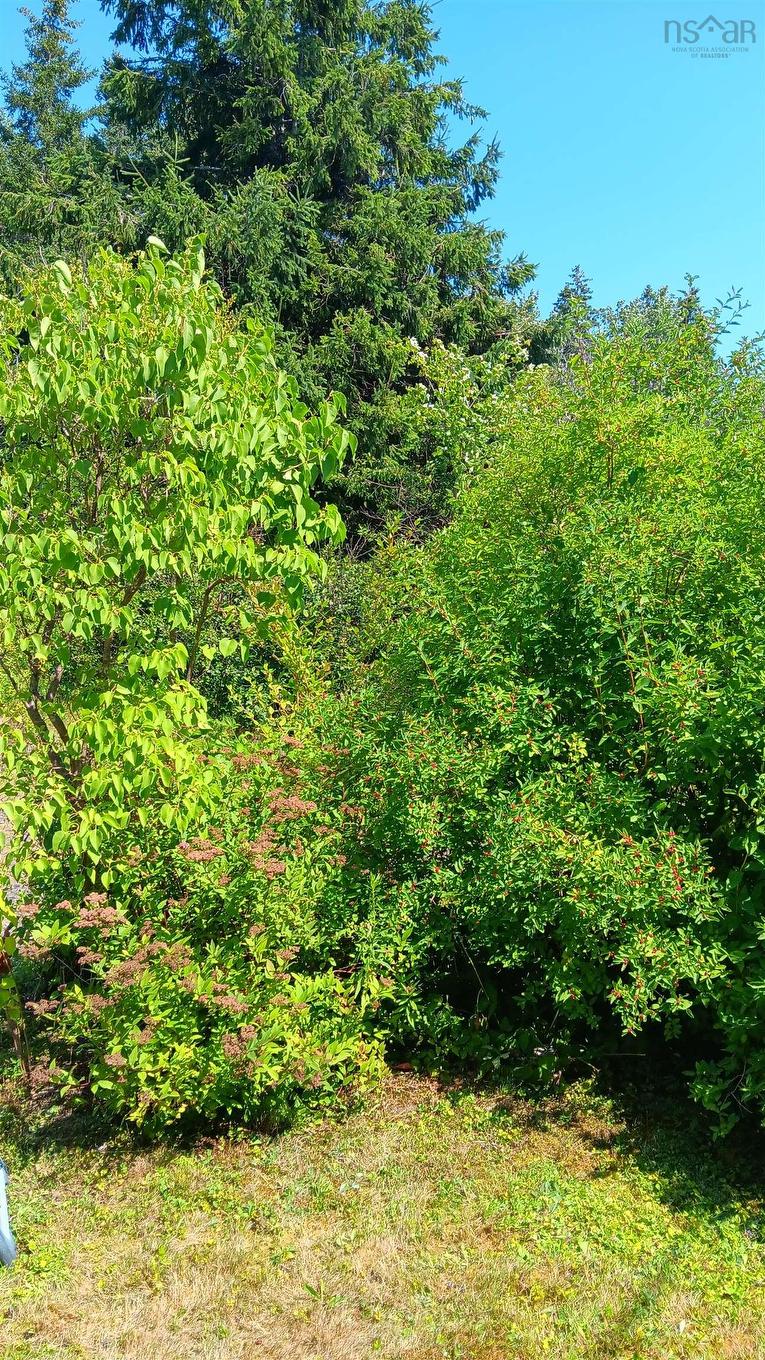 9273 Highway 16 Highway, Cooks Cove, NS