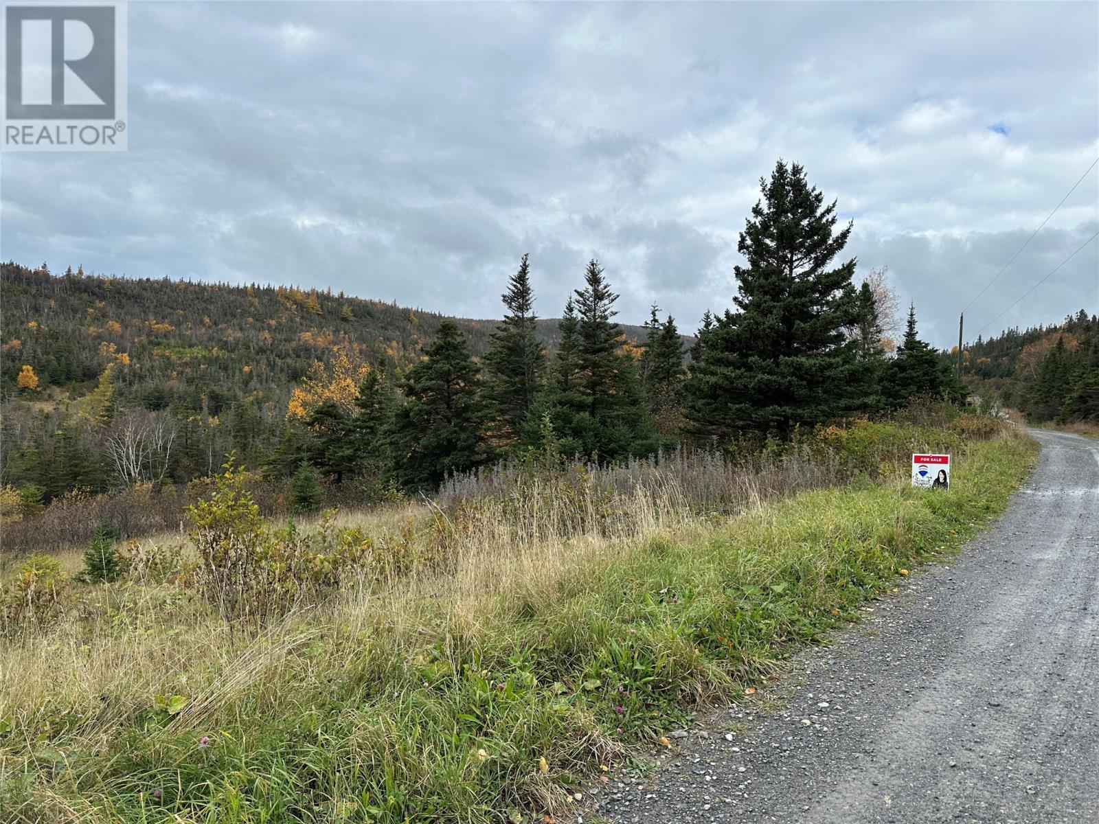 Lots 0-3 Neddies Harbour Road, Norris Point, NL