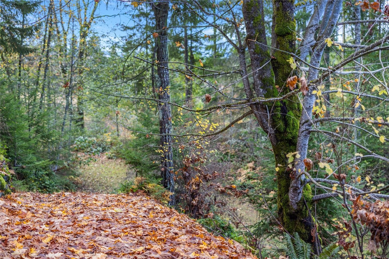 4985 Aho Rd, Ladysmith, BC