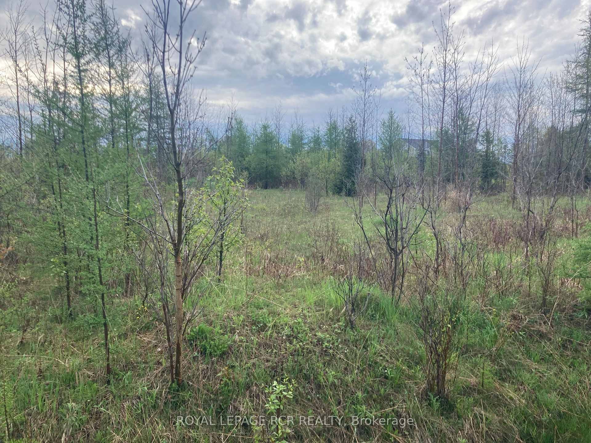 Ptlot 8 Con 2 N/A, Amaranth, ON