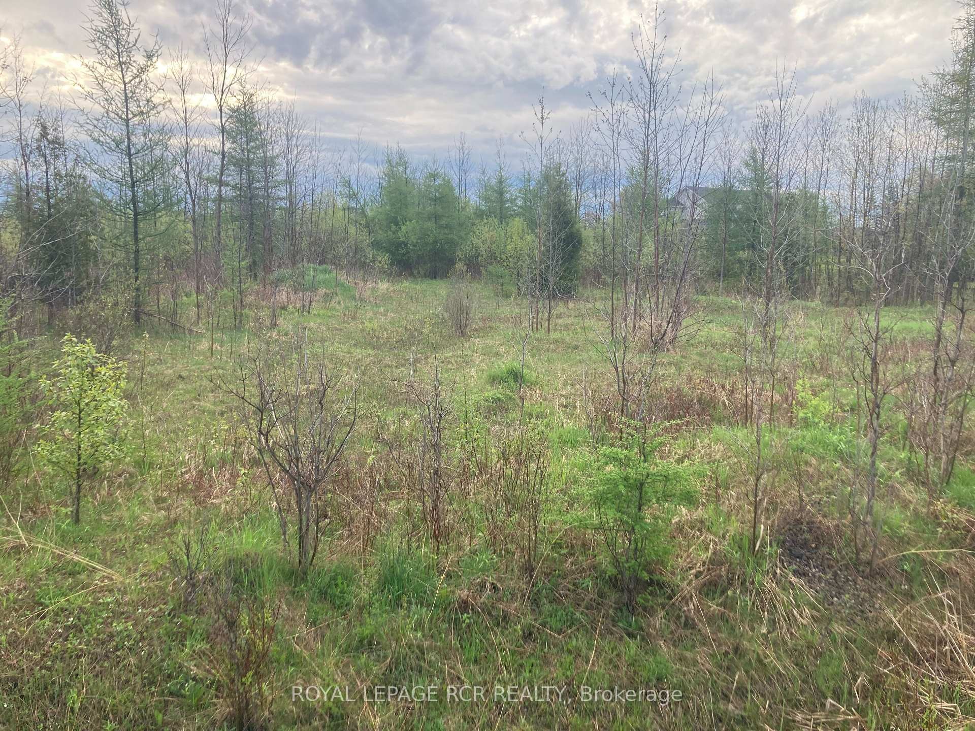 Ptlot 8 Con 2 N/A, Amaranth, ON