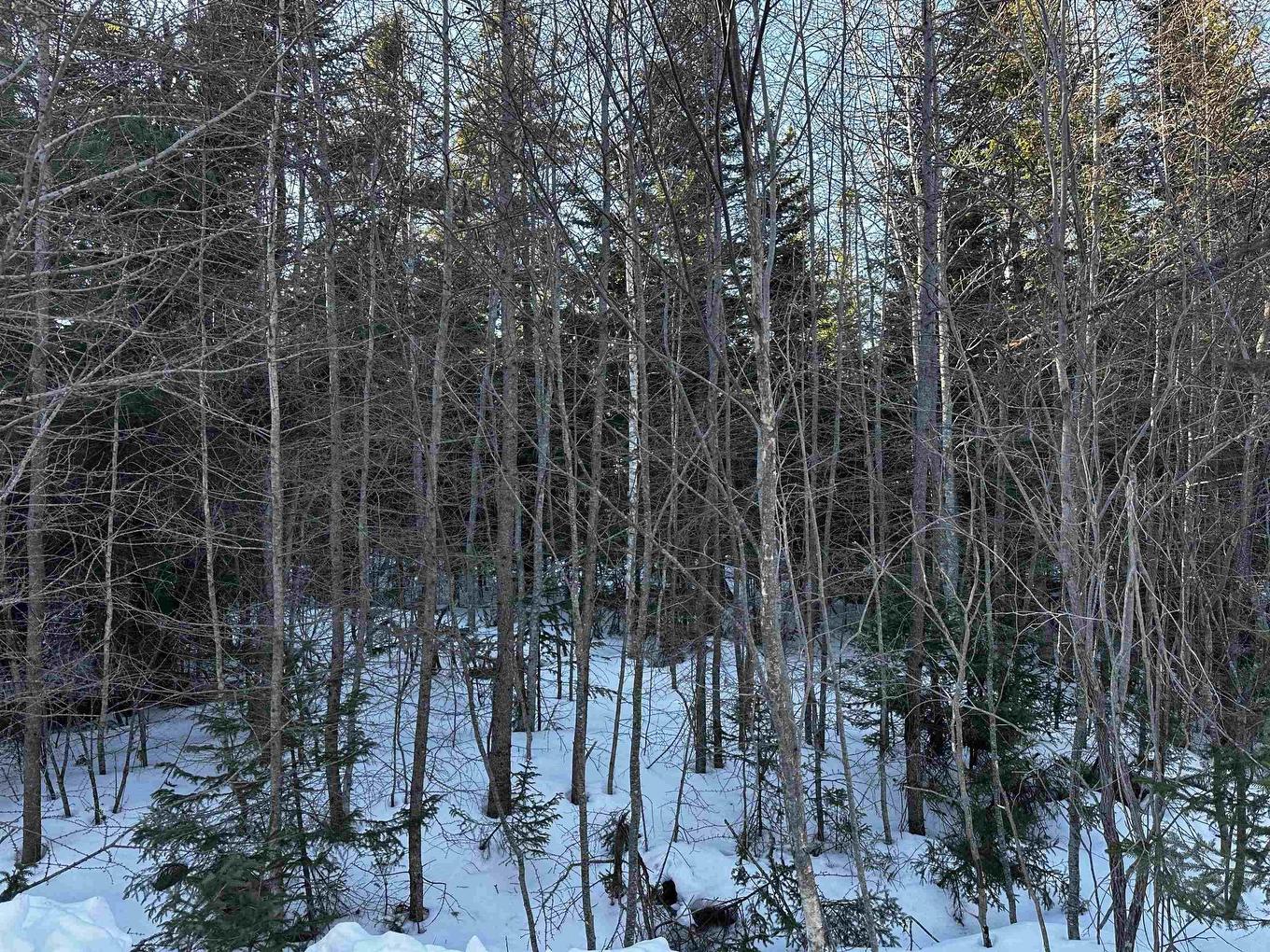 Emerald Drive, Whycocomagh Portage, NS