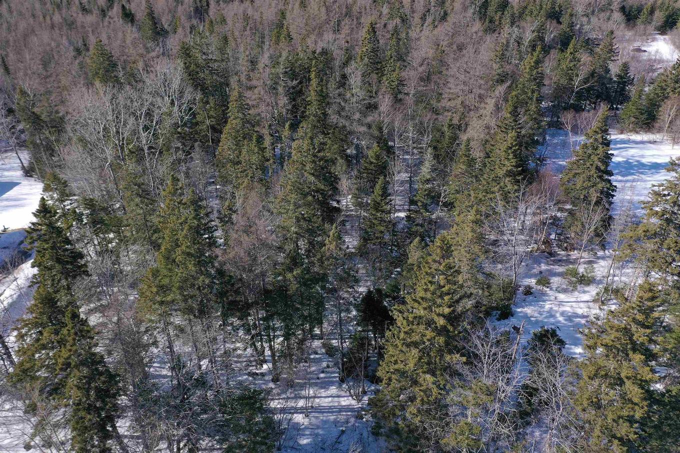Highway 4, Mcintyre Lake, Cleveland, NS