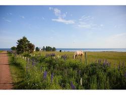 3595 Cape Bear Road Murray Harbour, PE C0A 1V0