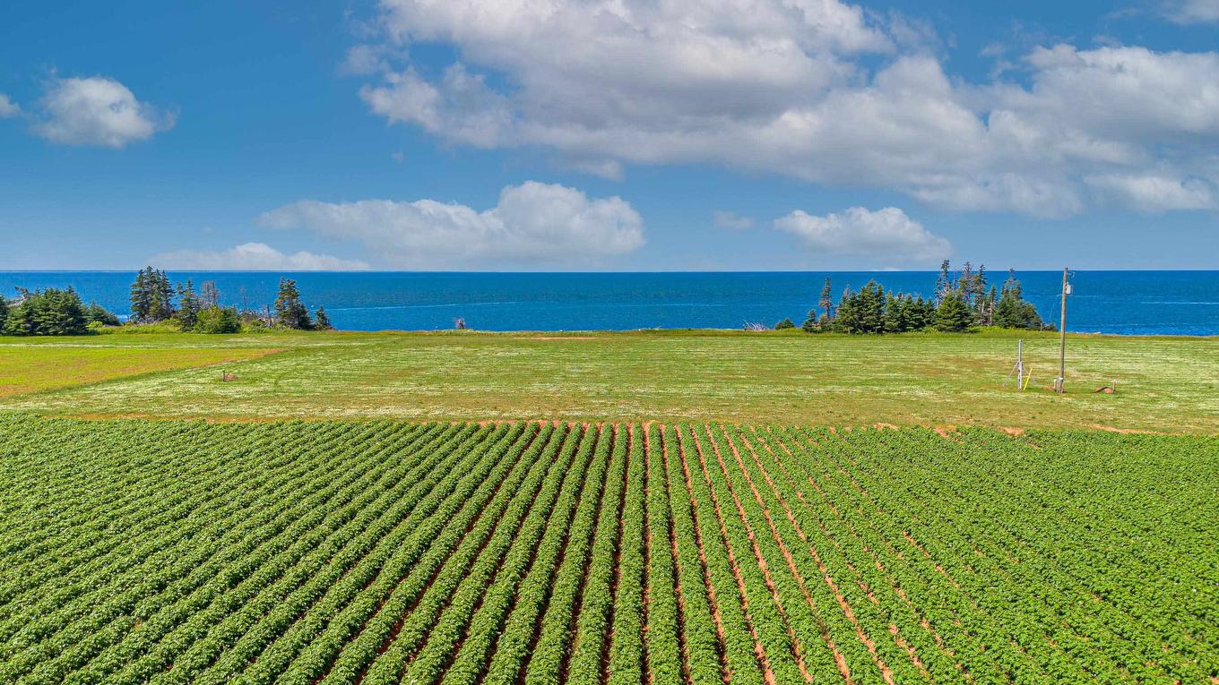 Lot 21-1 Piper Drive, Bedeque And Area, PE