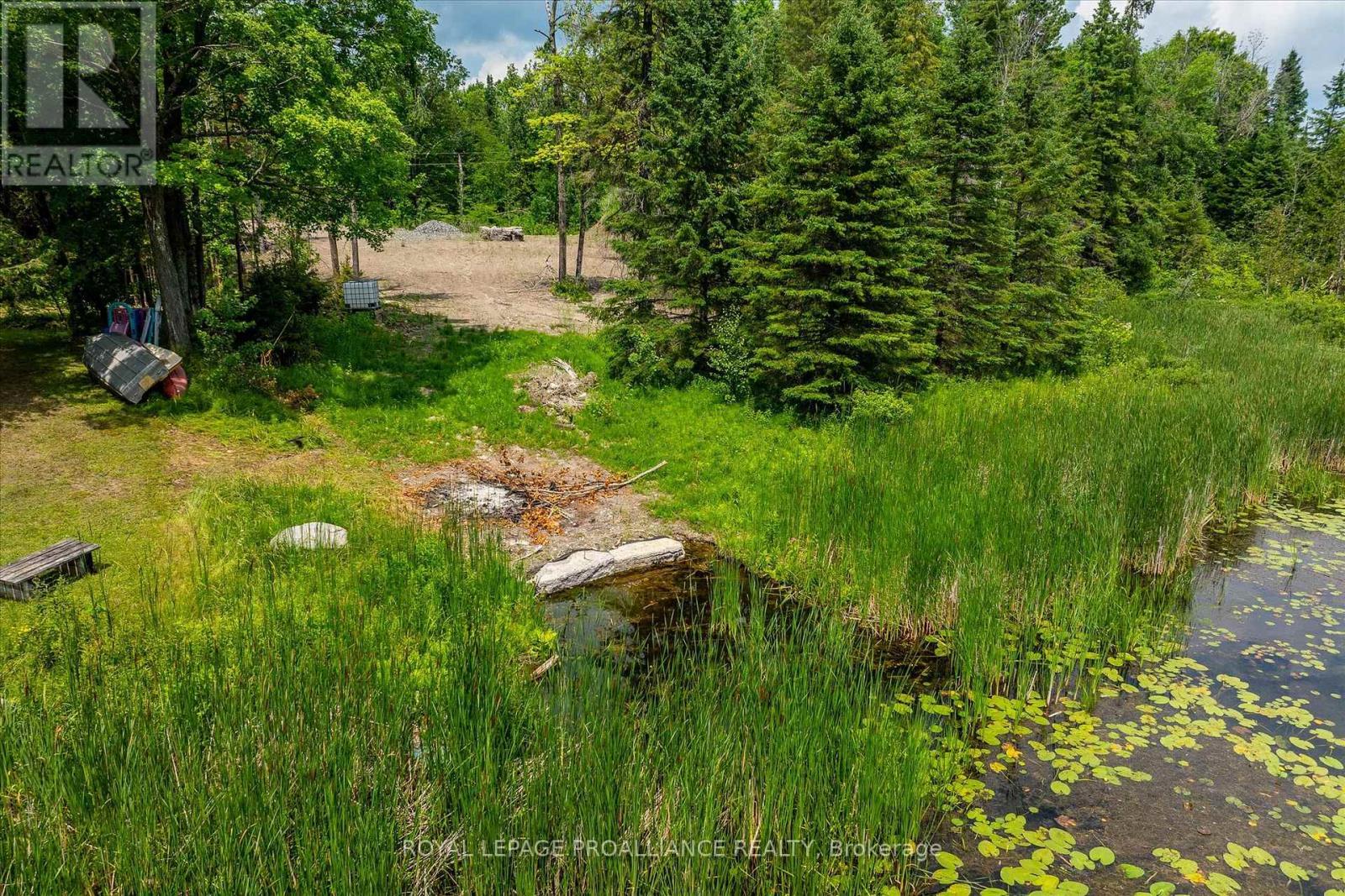 0 Pearce Road, Kawartha Lakes (Bexley), ON