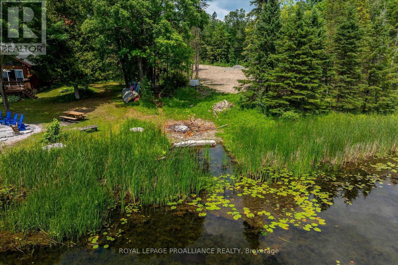 0 Pearce Road, Kawartha Lakes (Bexley), ON