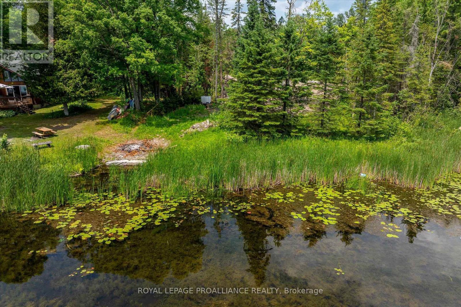 0 Pearce Road, Kawartha Lakes (Bexley), ON