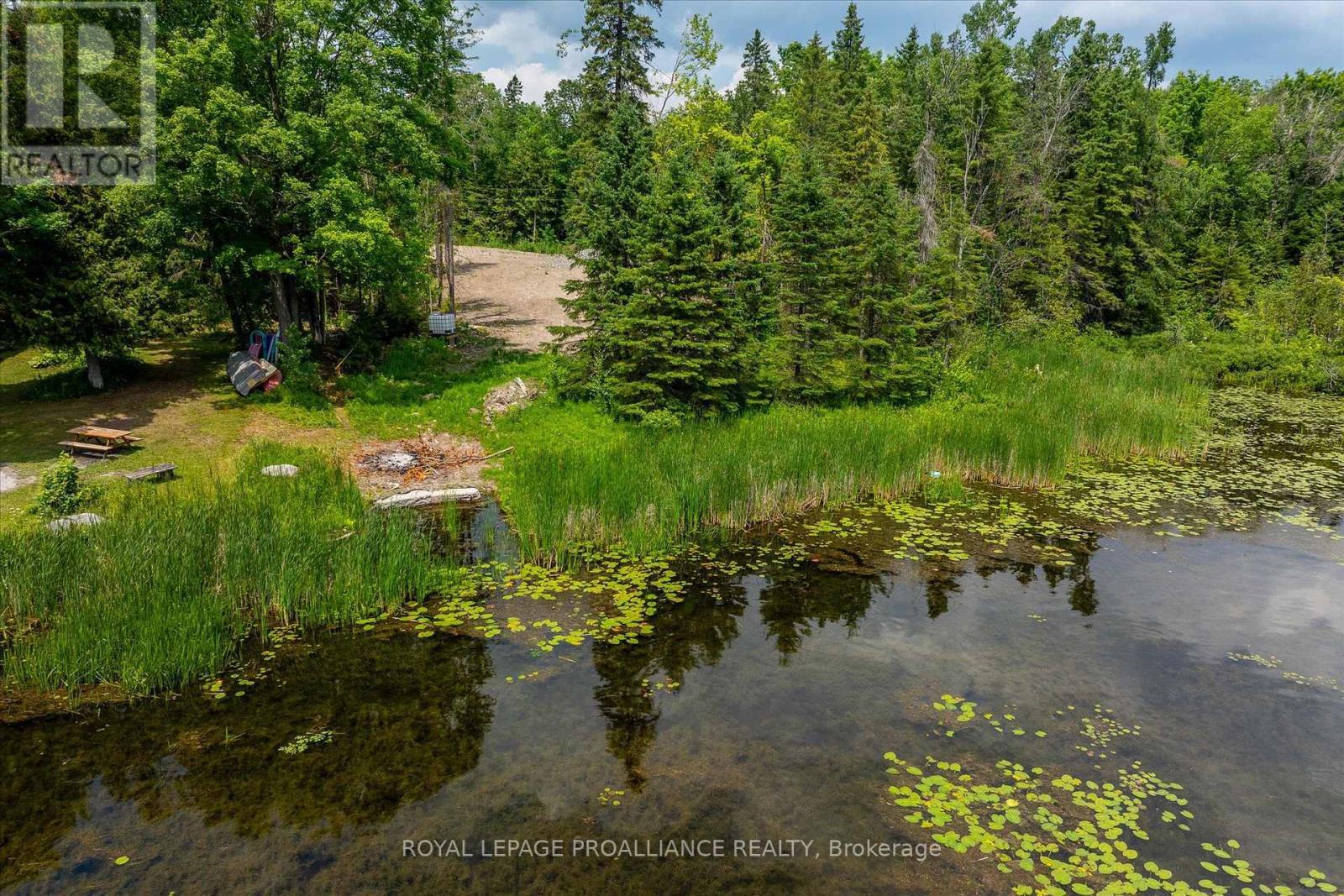 0 Pearce Road, Kawartha Lakes (Bexley), ON