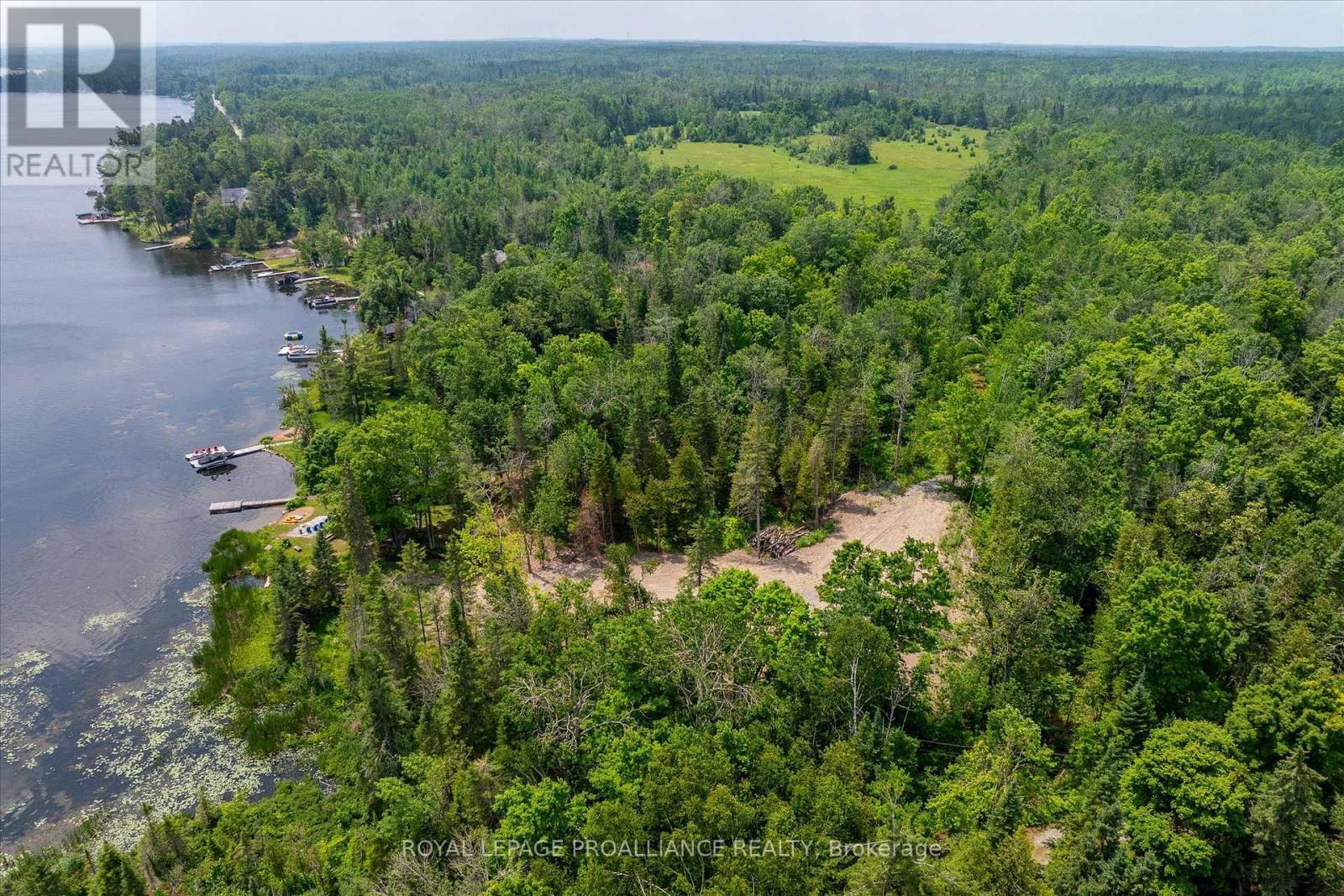 0 Pearce Road, Kawartha Lakes (Bexley), ON