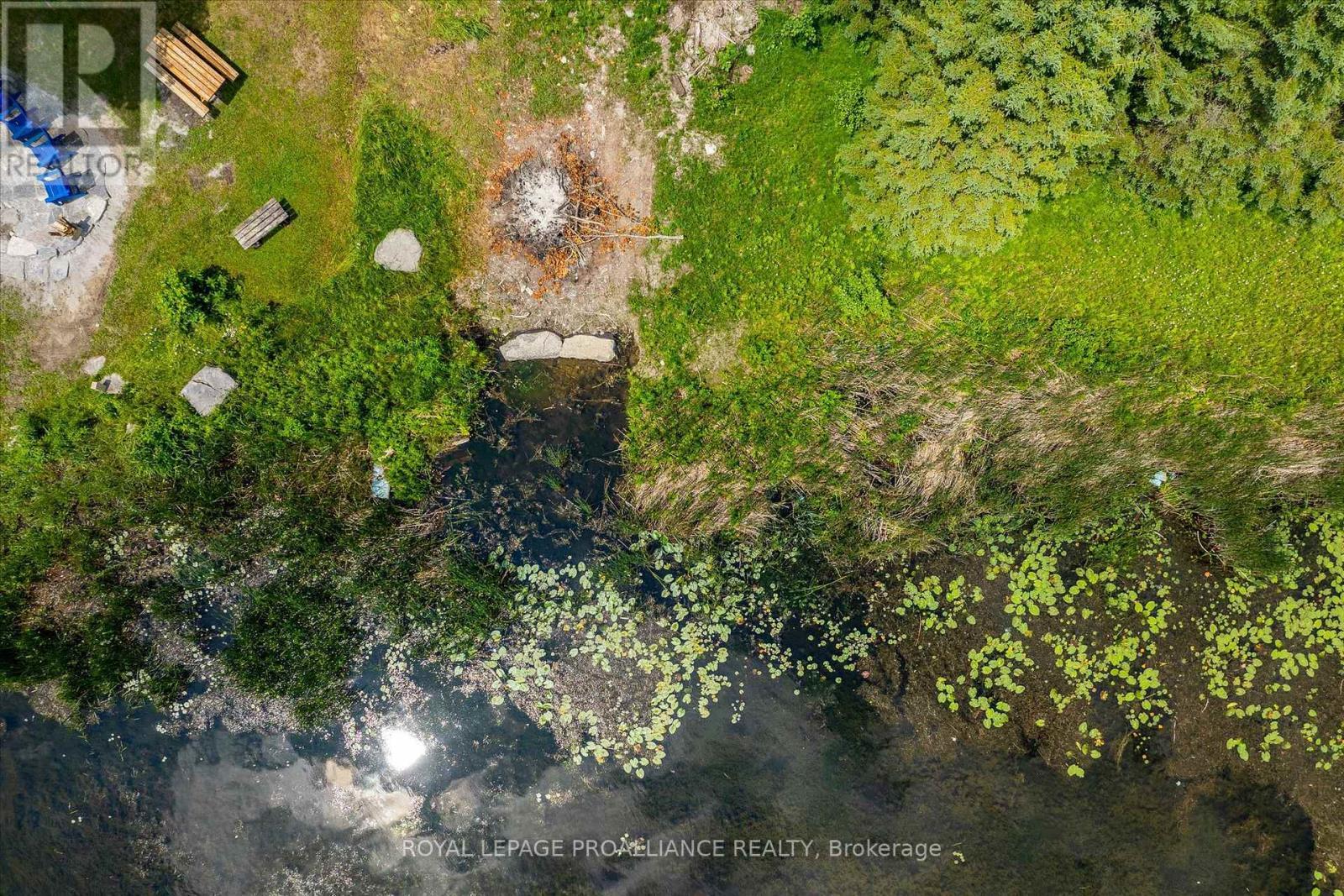 0 Pearce Road, Kawartha Lakes (Bexley), ON