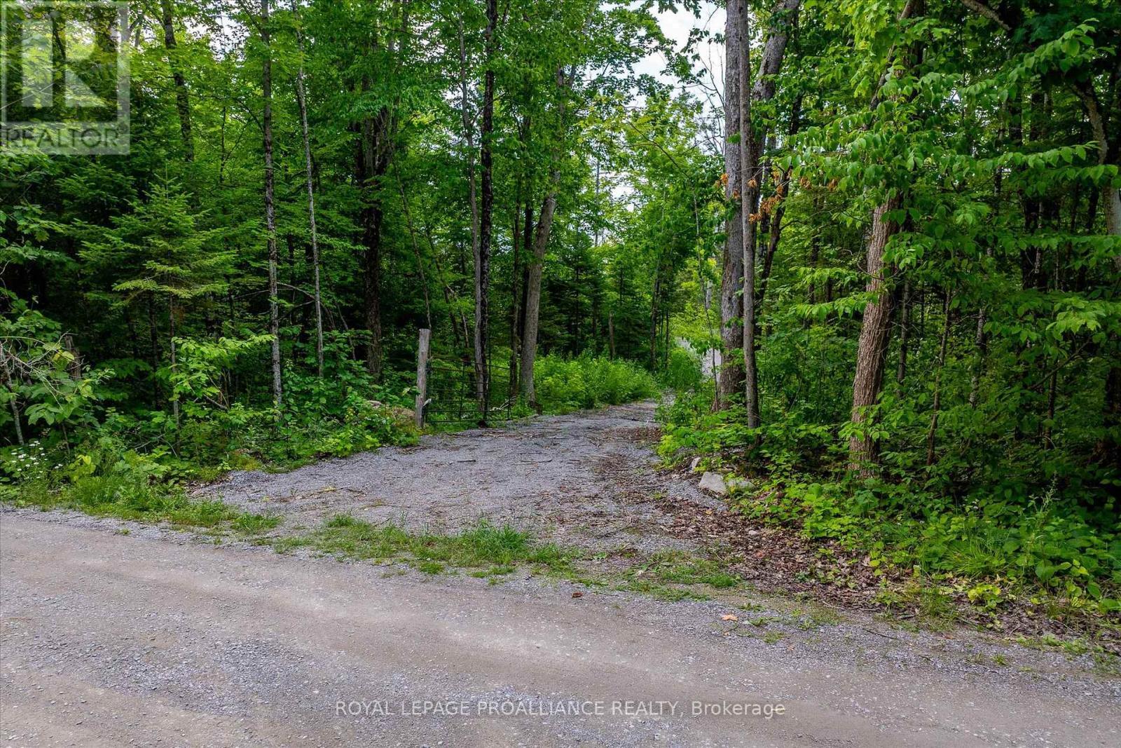 0 Pearce Road, Kawartha Lakes (Bexley), ON