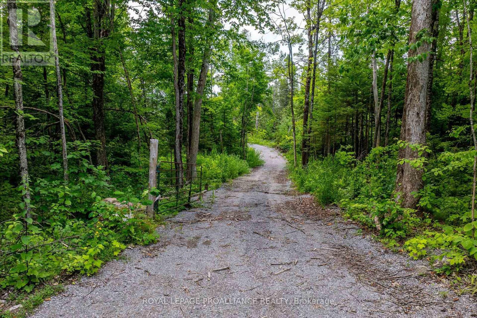 0 Pearce Road, Kawartha Lakes (Bexley), ON