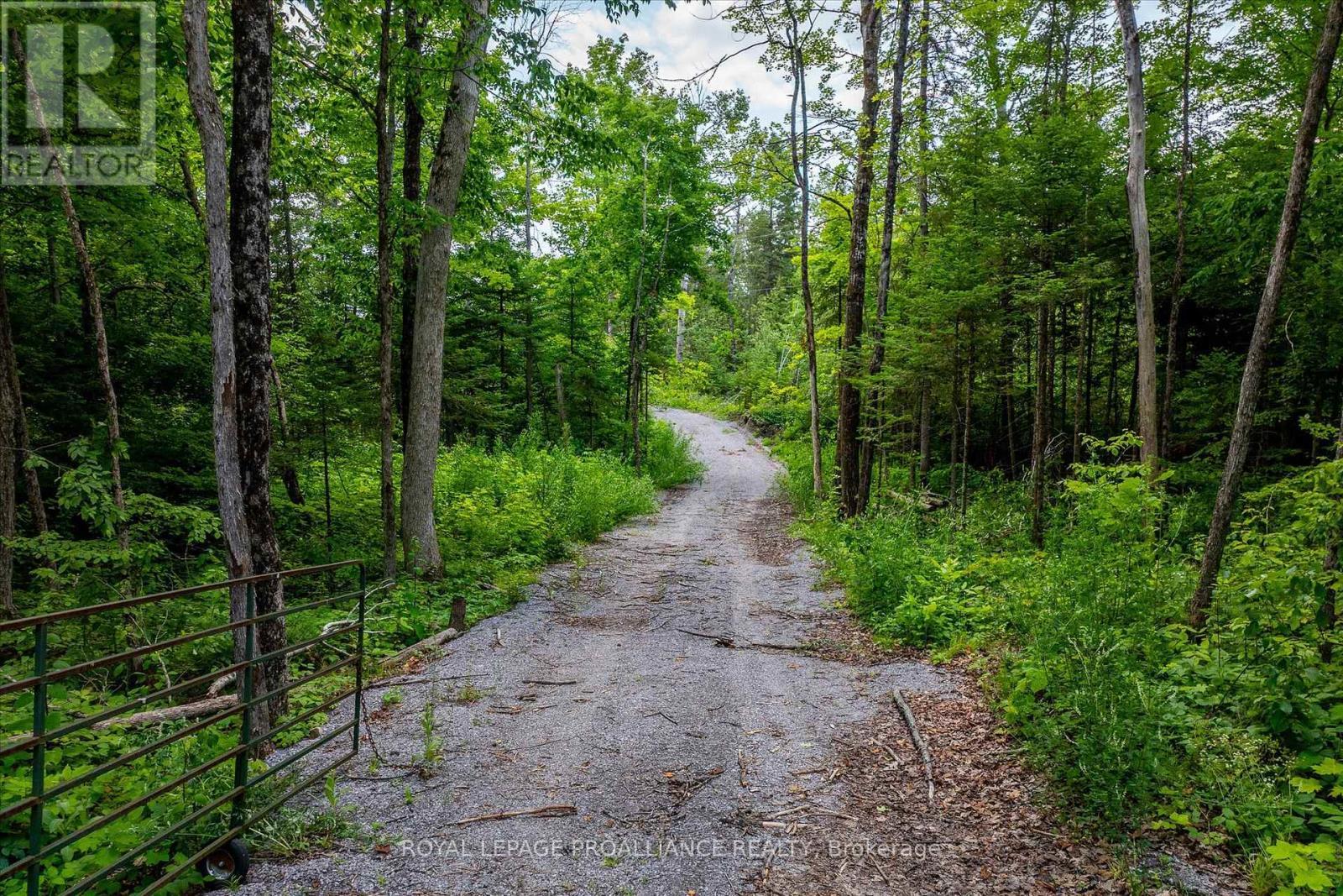 0 Pearce Road, Kawartha Lakes (Bexley), ON
